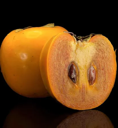 জিরো পার্সিমন চারা