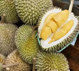 মেসাং কিং জাতের ডুরিয়ান