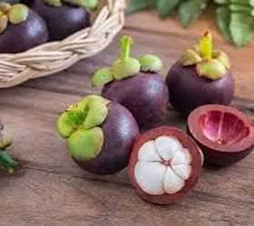 ফলের রানী, ম্যাংগোস্টিন